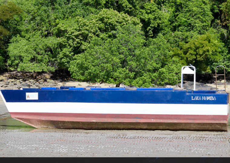 Island Hopping Tour