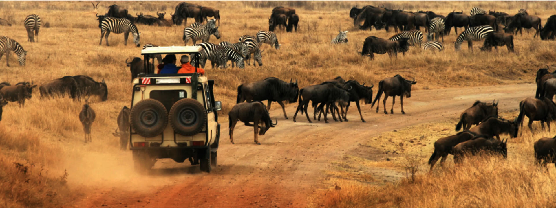 Queen Elizabeth Safari