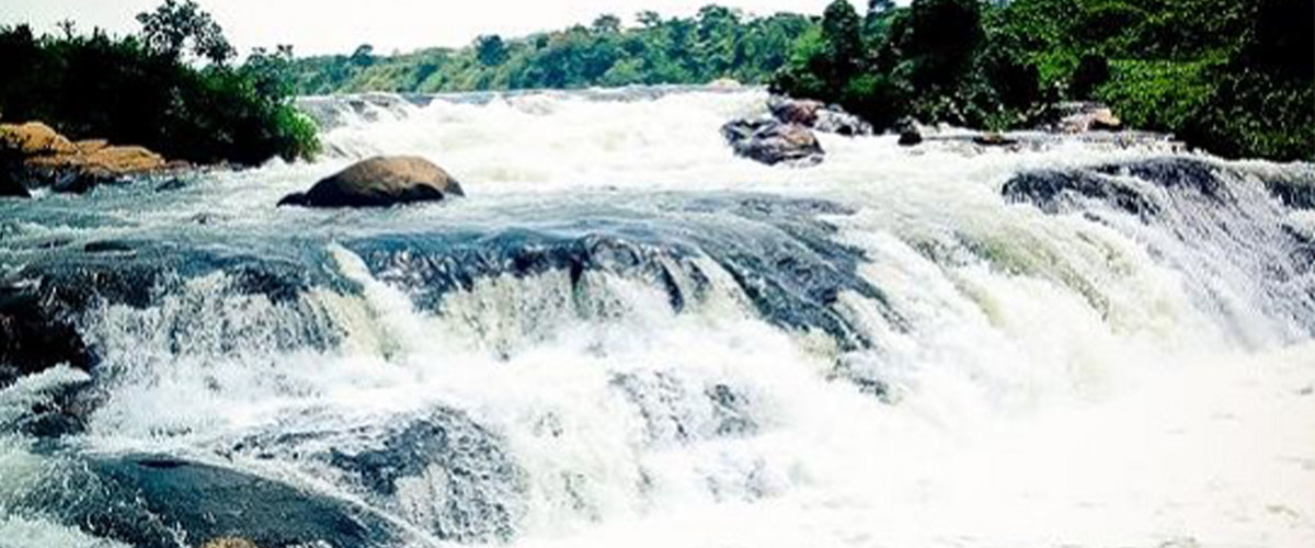 Murchison Falls Safari