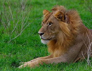 Tourism Growth Boosts Travel in Uganda