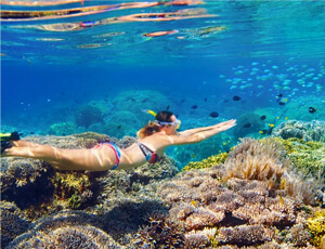 Gorilla Trekking Safari